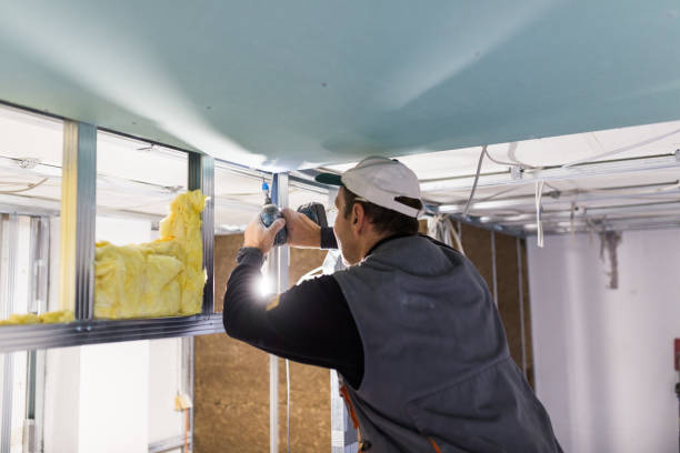Best Energy Efficiency Solutions in Christopher, IL