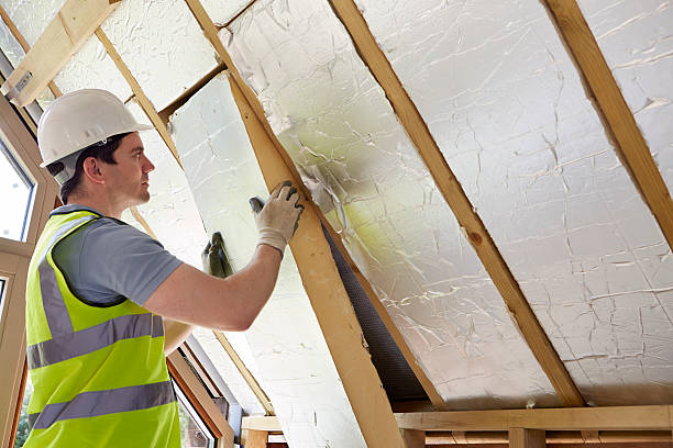 Best Energy Efficiency Solutions in Christopher, IL