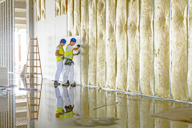 Best Specialty Insulation in Christopher, IL